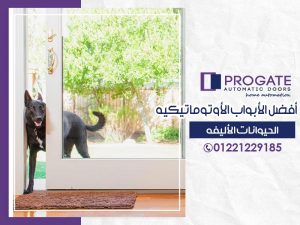 أفضل الأبواب الأوتوماتيكية | الحيوانات الأليفة